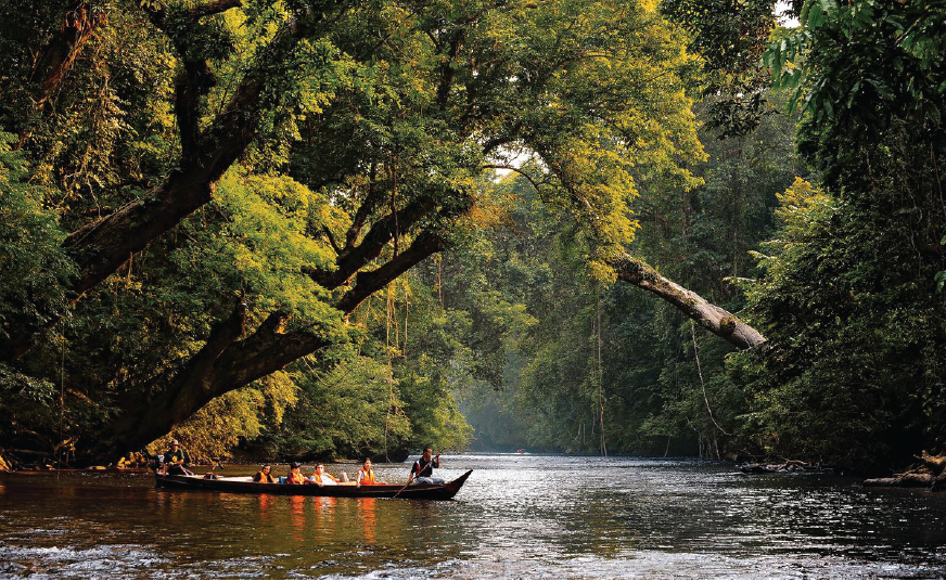 Pahang Day Tour - Cameron Highlands & Tioman Island